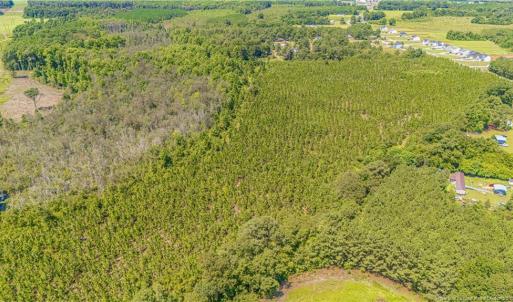 Photo #4 of TBD Blue Springs, Red Springs, NC 61.9 acres