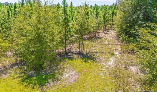 Photo #6 of TBD Blue Springs, Red Springs, NC 61.9 acres