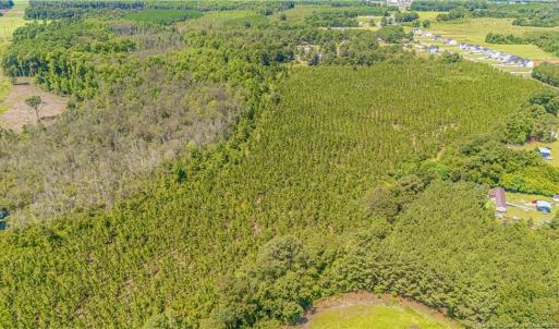 Photo #4 of TBD Blue Springs, Red Springs, NC 61.9 acres