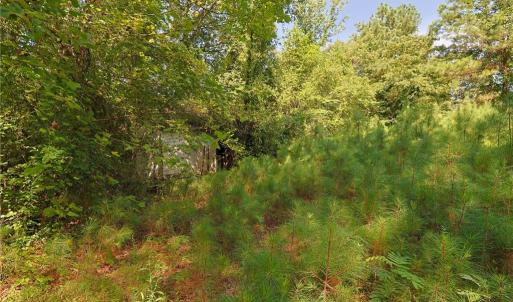 Photo #15 of 121 Buffalo, Fayetteville, NC 1.1 acres