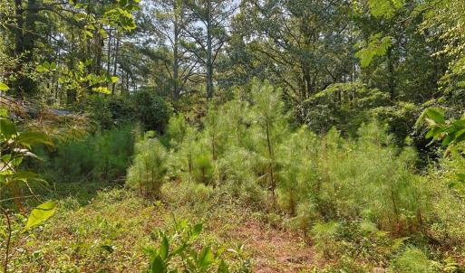 Photo #11 of 121 Buffalo, Fayetteville, NC 1.1 acres