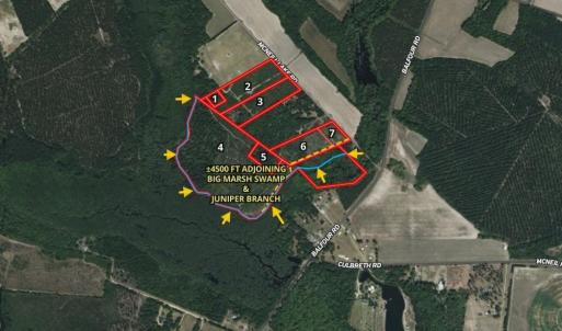 Photo #6 of McNeill Lake, Lumber Bridge, NC 76.0 acres