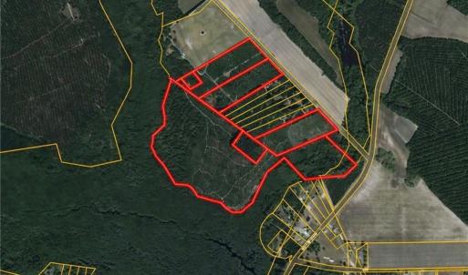 Photo #1 of McNeill Lake, Lumber Bridge, NC 76.0 acres