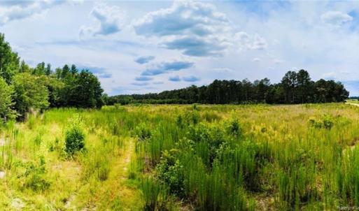 Photo #4 of McNeill Lake, Lumber Bridge, NC 76.0 acres