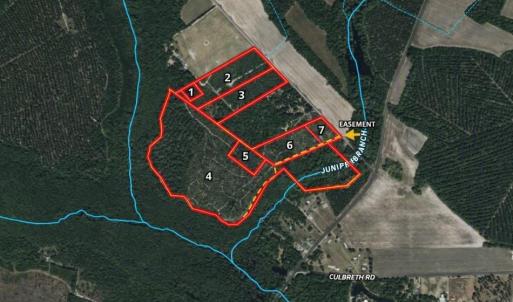 Photo #7 of McNeill Lake, Lumber Bridge, NC 76.0 acres