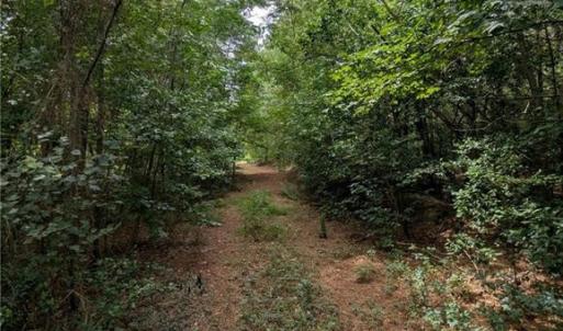 Photo #3 of McNeill Lake, Lumber Bridge, NC 76.0 acres