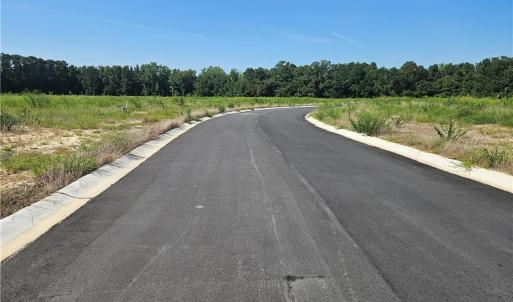Photo #4 of 131 Britt, St. Pauls, NC 26.0 acres