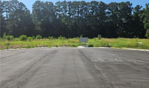 Photo #8 of 131 Britt, St. Pauls, NC 26.0 acres