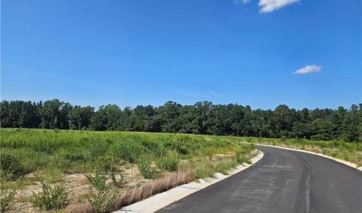 Photo #5 of 131 Britt, St. Pauls, NC 26.0 acres
