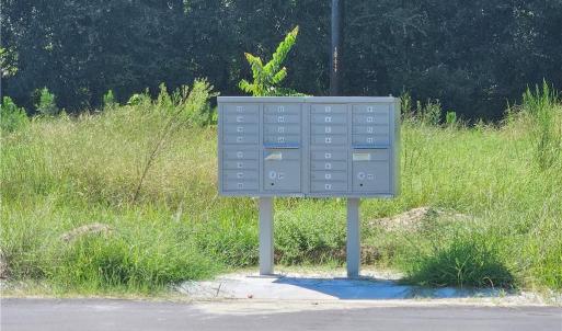 Photo #9 of 131 Britt, St. Pauls, NC 26.0 acres