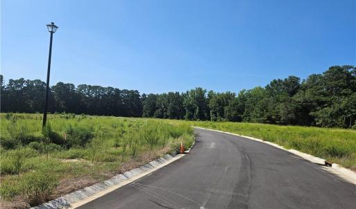 Photo #6 of 131 Britt, St. Pauls, NC 26.0 acres