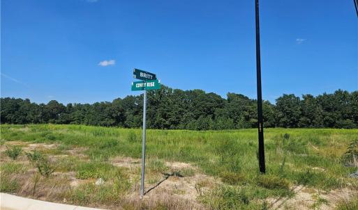 Photo #3 of 131 Britt, St. Pauls, NC 26.0 acres