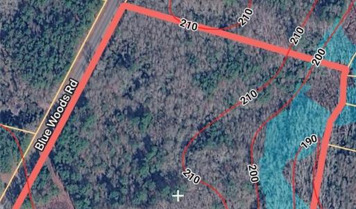 Photo #1 of BLUE WOODS, Laurinburg, NC 16.2 acres