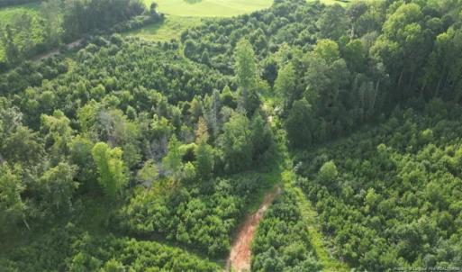 Photo #1 of Leaflet Church, Broadway, NC 10.1 acres