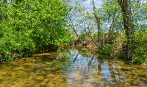 Photo #3 of THUMB RUN RD, ORLEAN, VA 50.8 acres