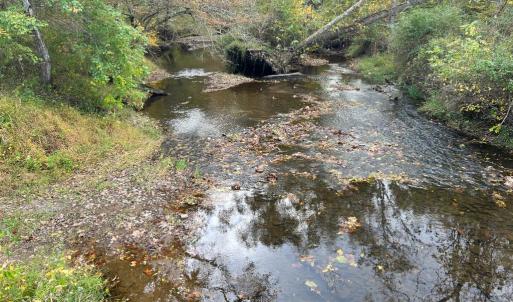 Photo #7 of THUMB RUN RD, ORLEAN, VA 50.8 acres