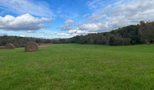 Photo #8 of THUMB RUN RD, ORLEAN, VA 50.8 acres