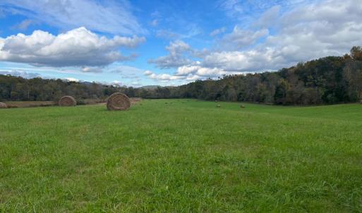 Photo #9 of THUMB RUN RD, ORLEAN, VA 50.8 acres