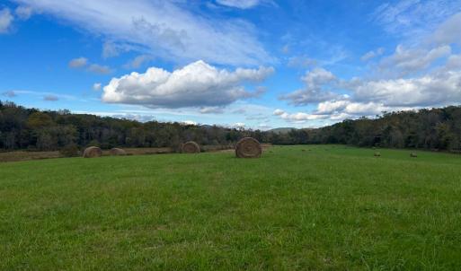 Photo #10 of THUMB RUN RD, ORLEAN, VA 50.8 acres