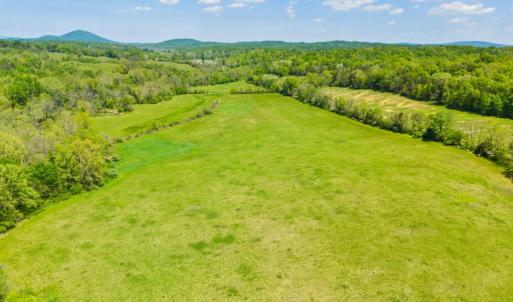 Photo #1 of THUMB RUN RD, ORLEAN, VA 50.8 acres