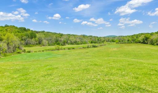 Photo #2 of THUMB RUN RD, ORLEAN, VA 50.8 acres