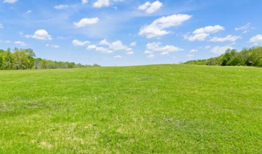 Photo #4 of THUMB RUN RD, ORLEAN, VA 50.8 acres