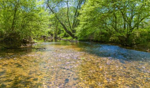 Photo #5 of THUMB RUN RD, ORLEAN, VA 50.8 acres