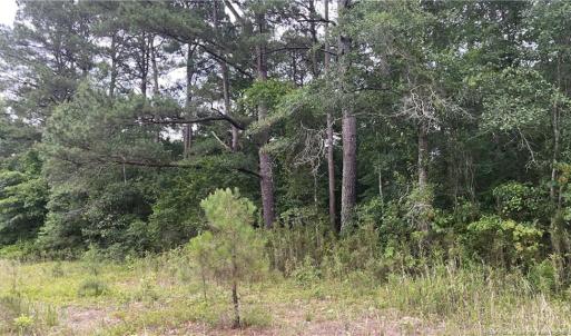 Photo #1 of Sanderosa (0477-88-1702), Fayetteville, NC 2.9 acres