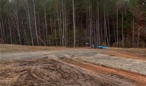 Photo #2 of 183 Thistlecone, Sanford, NC 2.6 acres
