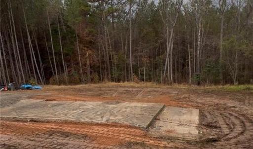 Photo #3 of 183 Thistlecone, Sanford, NC 2.6 acres
