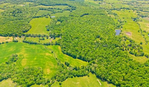 Photo #7 of HAWTHORNE FARM RD, ORLEAN, VA 378.3 acres