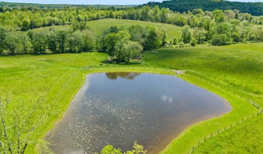 Photo #10 of HAWTHORNE FARM RD, ORLEAN, VA 378.3 acres