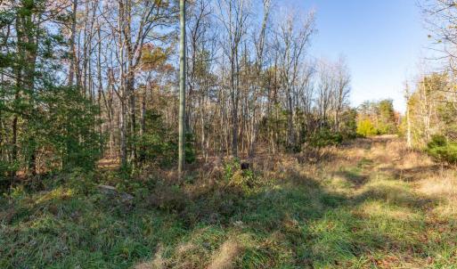 Photo #2 of 4800 GUINEA STATION RD, FREDERICKSBURG, VA 38.8 acres