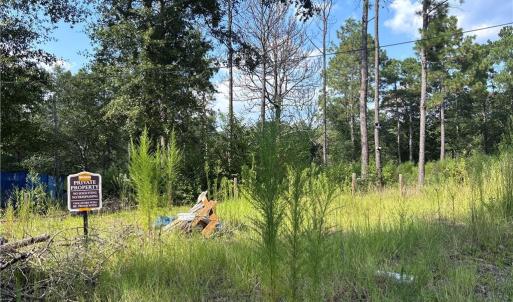 Photo #12 of 813 Wiregrass, Hamlet, NC 0.9 acres