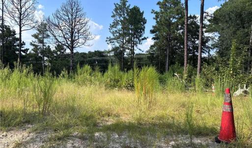 Photo #10 of 813 Wiregrass, Hamlet, NC 0.9 acres