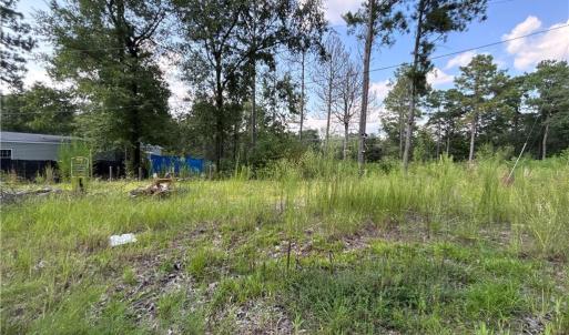 Photo #1 of 813 Wiregrass, Hamlet, NC 0.9 acres