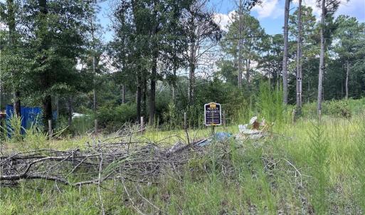 Photo #6 of 813 Wiregrass, Hamlet, NC 0.9 acres