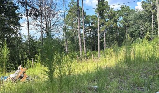 Photo #7 of 813 Wiregrass, Hamlet, NC 0.9 acres