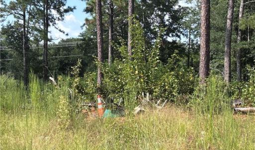 Photo #4 of 813 Wiregrass, Hamlet, NC 0.9 acres