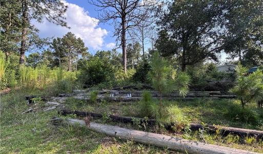 Photo #8 of 813 Wiregrass, Hamlet, NC 0.9 acres