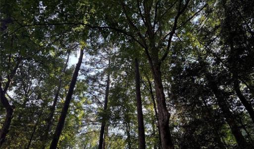 Photo #1 of 0 Lot 1761 Irish, Sanford, NC 0.2 acres