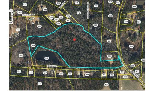 Photo #7 of 00-00 Strother, Aberdeen, NC 26.7 acres