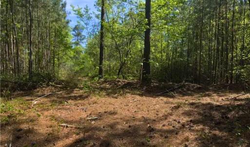 Photo #8 of 00-00 Strother, Aberdeen, NC 26.7 acres