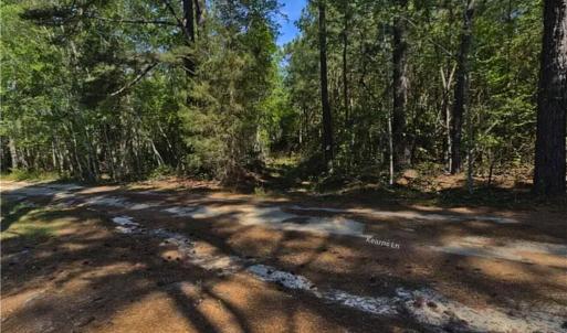 Photo #3 of 00-00 Strother, Aberdeen, NC 26.7 acres