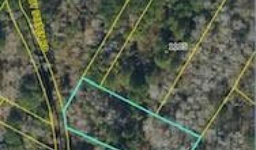 Photo #2 of Mckoy/Staten, Clarkton, NC 2.0 acres