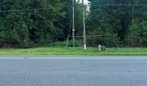 Photo #4 of Mckoy/Staten, Clarkton, NC 2.0 acres