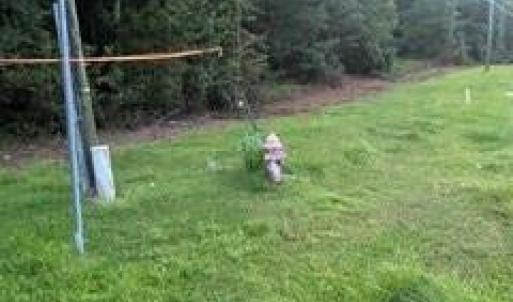 Photo #6 of Mckoy/Staten, Clarkton, NC 2.0 acres