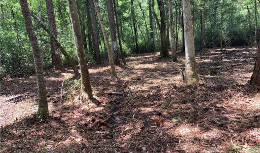 Photo #2 of Dandy Acres, Supply, NC 8.9 acres