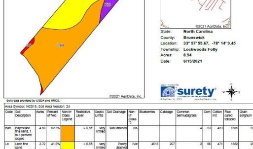 Photo #3 of Dandy Acres, Supply, NC 8.9 acres