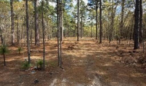 Photo #7 of 27 Birkdale, Pinehurst, NC 2.1 acres